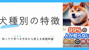 柴犬の豆知識5選｜歴史・性格・毛色・天然記念物をわかりやすく解説