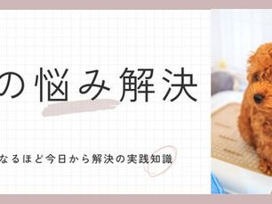 「そこ違うよぉ!」愛犬のトイレが定まらない時にするたった5つの大事なポイント!