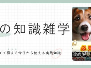 必見!改めて見返すべき、犬の十戒
