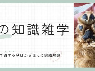 愛犬の肉球は人の指紋よりスゴイ!? 唯一無二の模様に隠された秘密を大解剖!