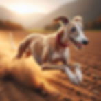 ダブルサスペンションギャロップ