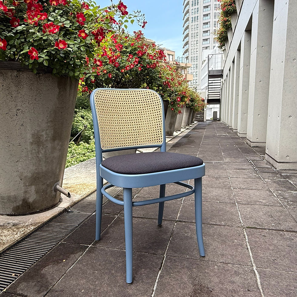 【在庫1点限り】TON "chair 811" (317 811) Steam Blue