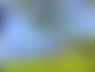 USA Honeymoon Romantic Tour