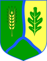 herb Gminy Gostycyn.png