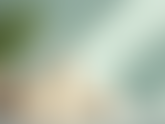 How Sustainability is Changing the Cleaning Industry