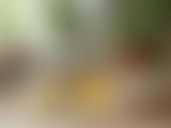 How to Maintain a Clean Home Without Harsh Chemicals