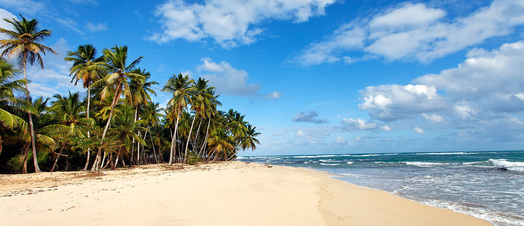 playa-caribena-palmeras-cielo-azul.jpg
