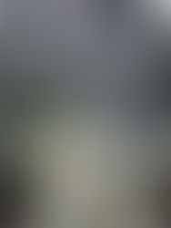 The Costa Rica Bathroom That Looks Like a Dream… But Isn’t