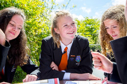 Learning Environments