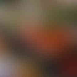 Crispy Roasted Chicken with Curry Flavour