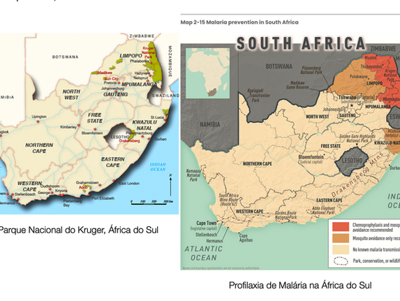 Malaria prevention for Brazilian travelers going from Brazil to South Africa