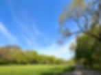 2026 - Spring Fields.jpg