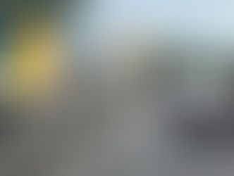 Cavalo acessa e interdita rapidamente subida da Ponte Rio-Niterói