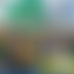 Rio de Janeiro registra grande mobilização no ato “Acorda Brasil” contra Lula e ministros do STF