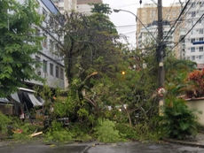 Chuva provoca pontos de alagamentos, queda de árvore e falta de luz em Niterói