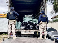 PRF apreende mais de meia tonelada de maconha e prende três pessoas em Magé