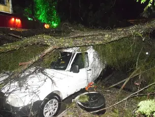 Temporal e ventos causam devastação e inundações em Niterói
