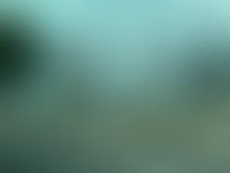  Árvore de Natal de 50 metros desaba em Niterói 2 dias antes da inauguração