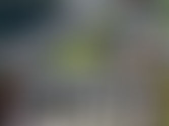 Caminhoneiros estão prontos para parar e pressionam governo Lula após disparada do diesel