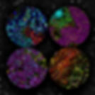 CoverArt1_TIF_edited.jpg