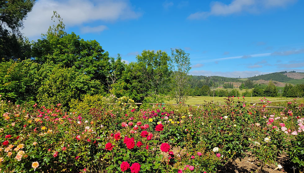 20240527_094051 (1).jpg