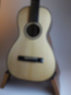 DSCN7861