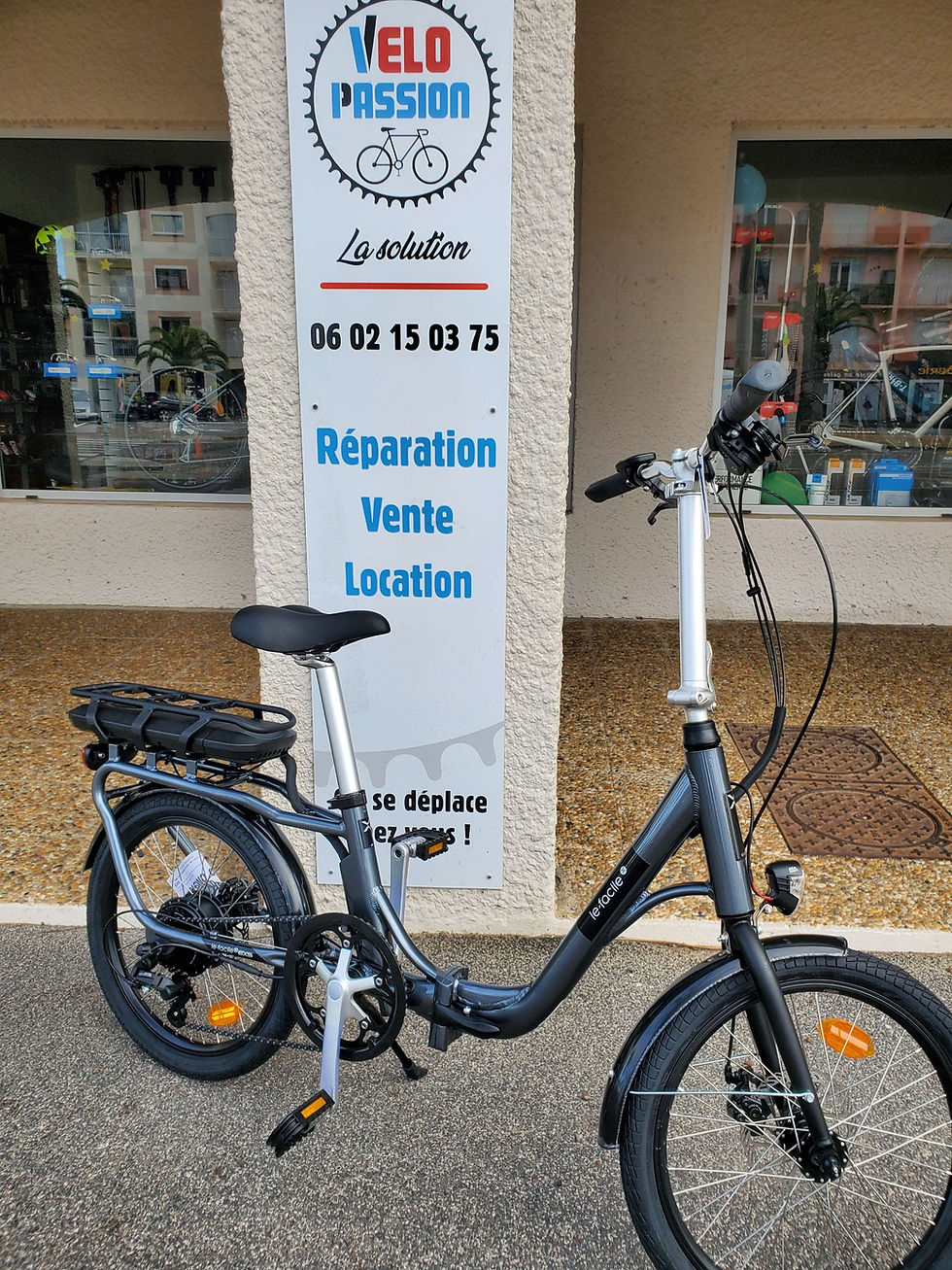 Miniature : Vélo pliant "Facile"
