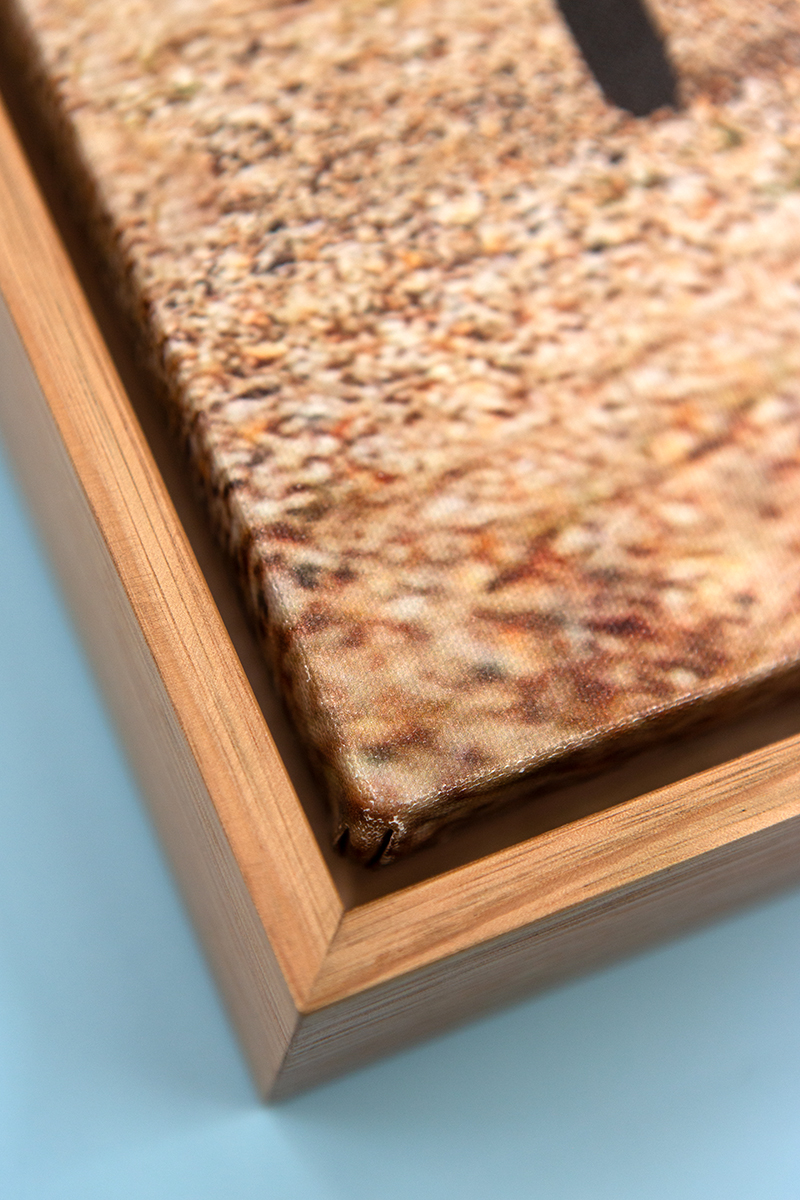 CANVAS BOX FRAMED The Edge Photo