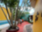 Airbnb in Cozumel Mexico called Casa Darcy