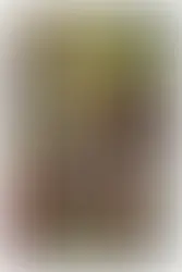 Hollywood Strikes Out: The Curse of “The Island of Dr. Moreau”.