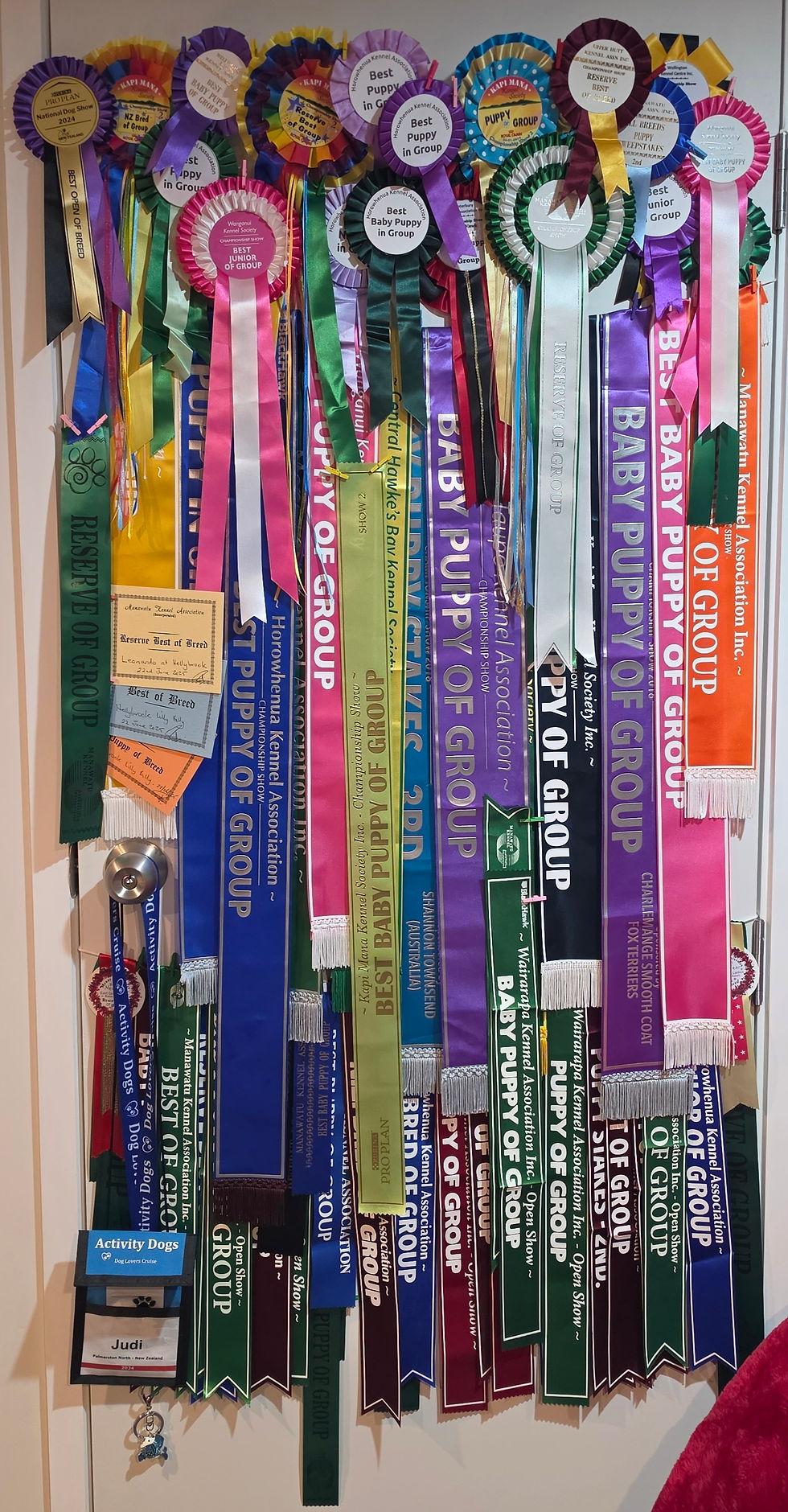 Ribbons 2026.jpg