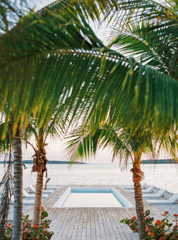 Harbour_Island_FILM-104