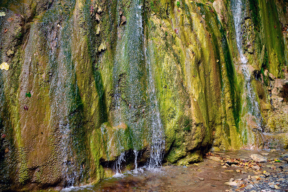 Green Falls
