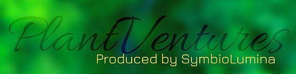 PlantVenturesBanner_edited.jpg