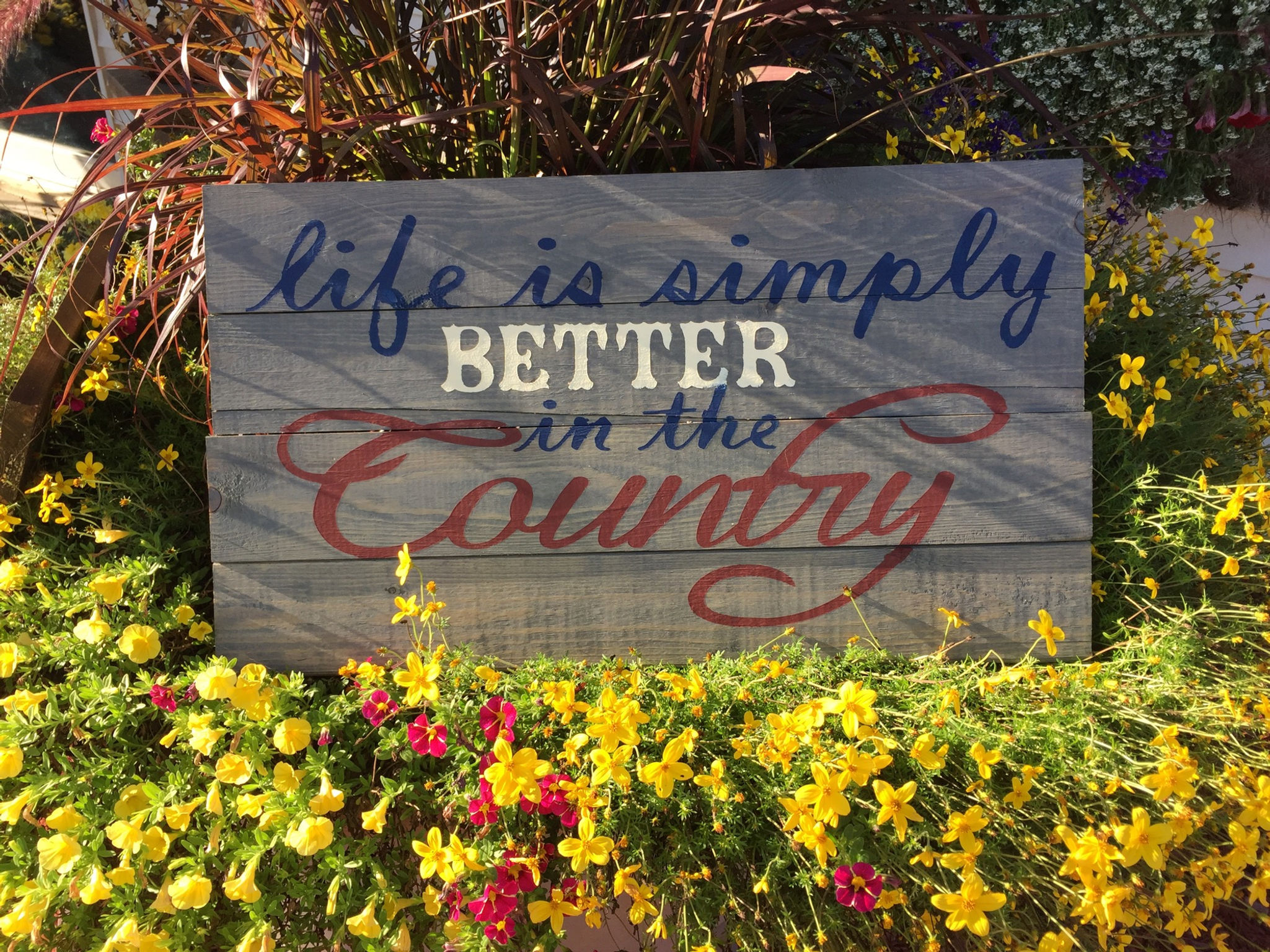 Life is better in the Country