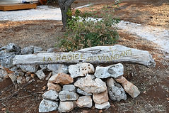 signpost.jpeg