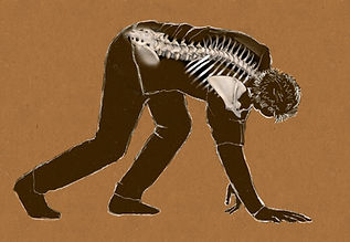 1. aligned spine locomotion$fall$flexibility$strength training 101 .jpeg