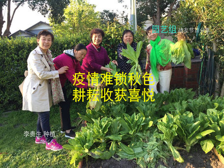 园艺组