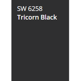 tricorn black