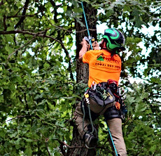 Climber image