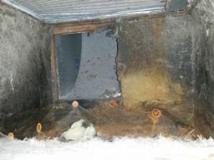 Mold growing inside ductwork