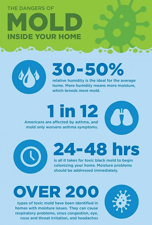 Dangers of mold inside your home