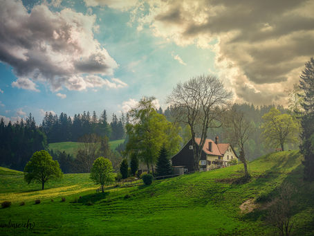 Und ich warte mal wieder auf den Frühling!