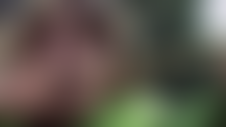 Childhood Fears - Apaches