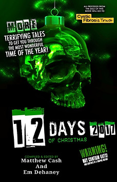 12days2017.jpeg