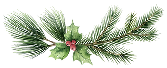 oie_transparent (2).png