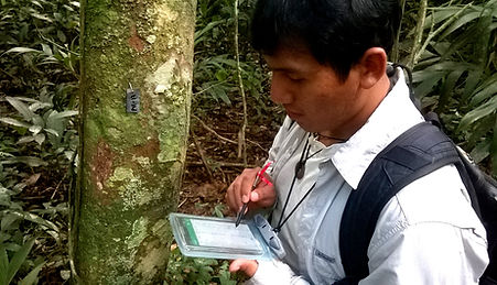 Botany - Tree monitoring, Darwin con pla