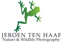 Jeroen_Ten_Haaf_Photography.png