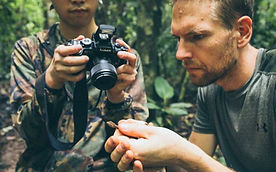 Nature photography team Fauna Forever