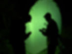 Insects - Night sampling (Chris Kirkby).
